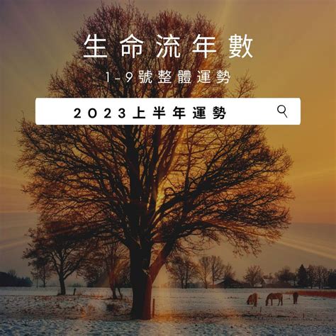 2023生命靈數流年7|V生命靈數／ 2023上半年【整體運勢】分析&生命流年。